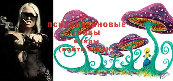молекула духа Алексеевка